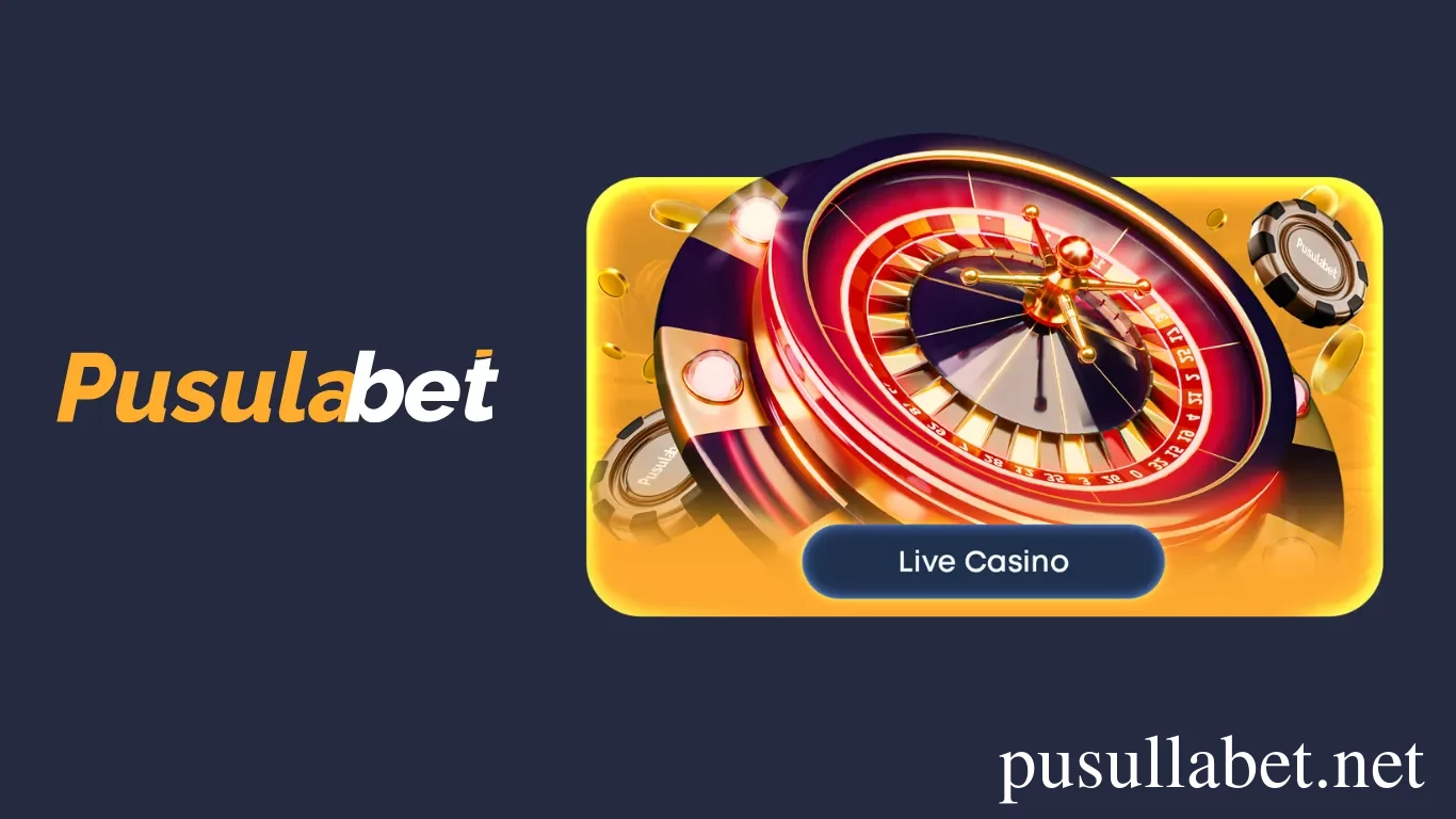 Regular Bettors and Casino Fans